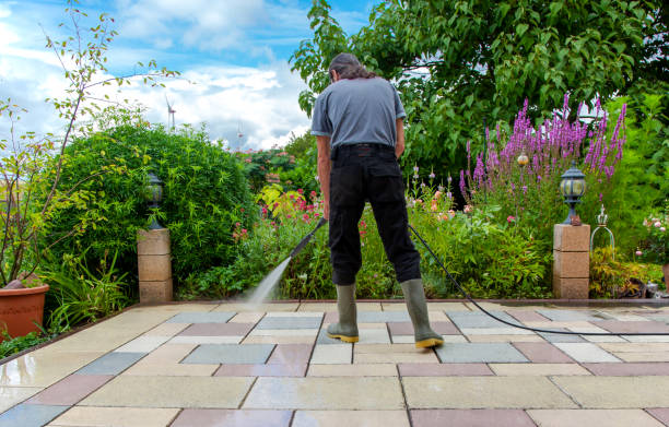 Best Sidewalk and Walkway Cleaning  in Cambridge, MN